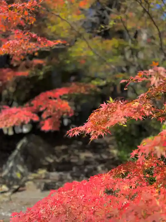 清水寺(長野県)