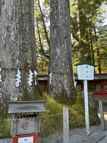日光二荒山神社(栃木県)