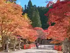 高野山金剛峯寺奥の院(和歌山県)