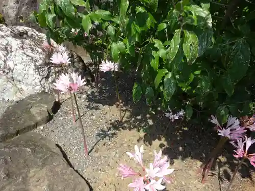 横浜　西方寺の自然