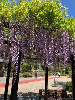 豊國神社(愛知県)