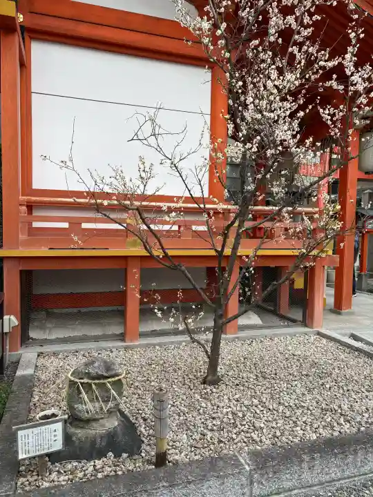 安井金比羅宮の{uncategorized: "未分類", other: "その他", undefined: "問題あり", building: "その他建物", grave: "お墓", sacred_gate: "鳥居", guardian: "狛犬", statue: "像", buddha: "仏像", history: "歴史", nature: "自然", garden: "庭園", animal: "動物", pagoda: "塔", temizu: "手水舎", mountain_gate: "山門・神門", sanctuary: "本殿・本堂", subordinate: "末社・摂社", art: "芸術", scenery: "景色", jizo: "地蔵", ema: "絵馬", goshuin: "御朱印", omikuji: "おみくじ", items: "授与品その他", amulet: "お守り", goshuincho: "御朱印帳", eats: "食事", festival: "お祭り", votive_dance: "神楽", shichigosan: "七五三参", wedding: "結婚式", experience: "体験その他", initially: "初詣", around: "周辺", anti_infection: "感染症対策"}