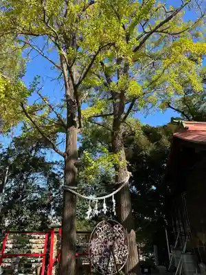 多摩川浅間神社(東京都)