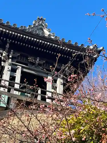 大船観音寺(神奈川県)