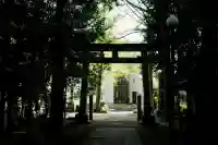 土支田八幡宮の{uncategorized: "未分類", other: "その他", undefined: "問題あり", building: "その他建物", grave: "お墓", sacred_gate: "鳥居", guardian: "狛犬", statue: "像", buddha: "仏像", history: "歴史", nature: "自然", garden: "庭園", animal: "動物", pagoda: "塔", temizu: "手水舎", mountain_gate: "山門・神門", sanctuary: "本殿・本堂", subordinate: "末社・摂社", art: "芸術", scenery: "景色", jizo: "地蔵", ema: "絵馬", goshuin: "御朱印", omikuji: "おみくじ", items: "授与品その他", amulet: "お守り", goshuincho: "御朱印帳", eats: "食事", festival: "お祭り", votive_dance: "神楽", shichigosan: "七五三参", wedding: "結婚式", experience: "体験その他", initially: "初詣", around: "周辺", anti_infection: "感染症対策"}