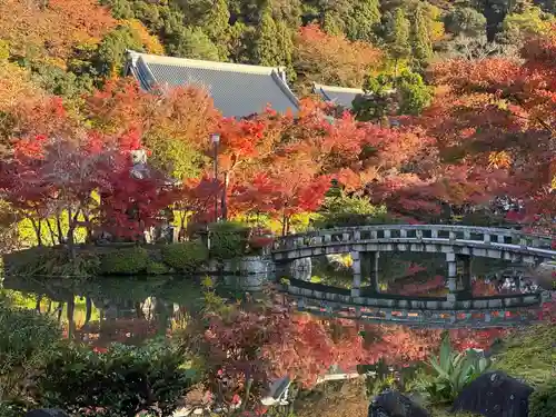 禅林寺（永観堂）(京都府)