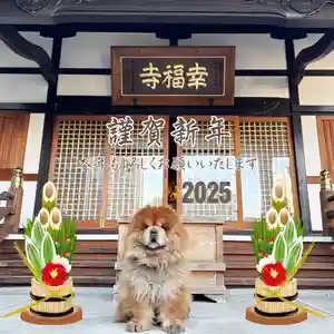 幸福寺(神奈川県)(2025年01月02日(木) 15時44分05秒投稿)