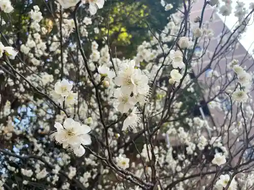 上目黒氷川神社(東京都)