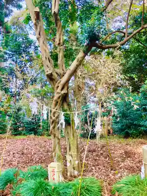 鷲宮神社(茨城県)