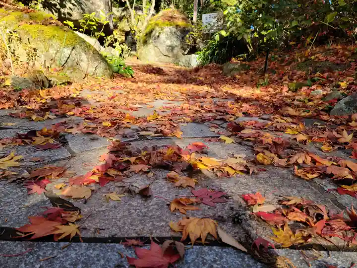 石都々古和気神社の自然