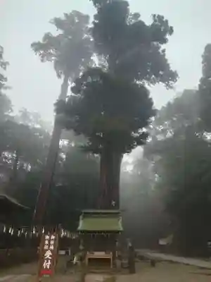 鹿島神宮(茨城県)