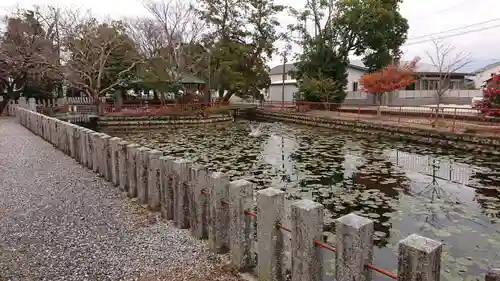 人丸神社（小中町）の庭園