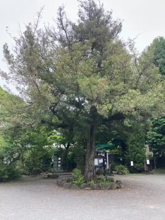 安楽院(神奈川県)