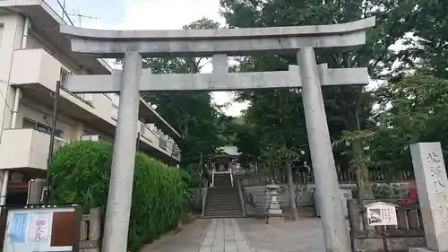 北澤八幡神社の鳥居