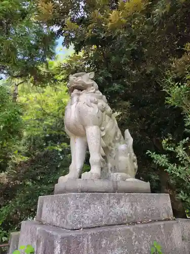 福井県護国神社の狛犬