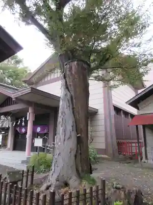 日野八坂神社のその他建物
