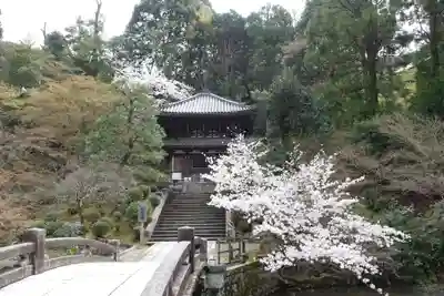 知恩院(京都府)