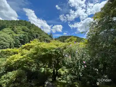 高山寺の景色