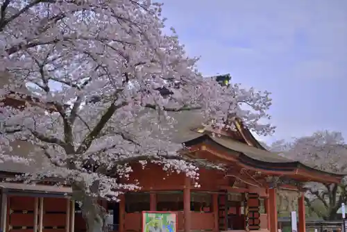 富士山本宮浅間大社(静岡県)