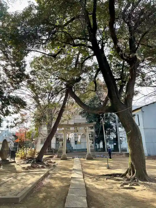 本太氷川神社(埼玉県)