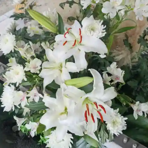 彌彦神社　(伊夜日子神社)の手水舎