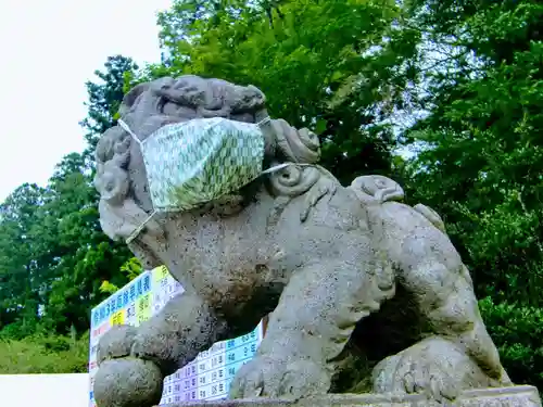 乃木神社の狛犬