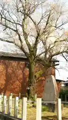 手力雄神社の庭園