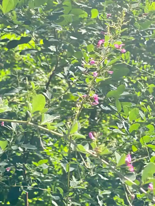 梨木神社(京都府)
