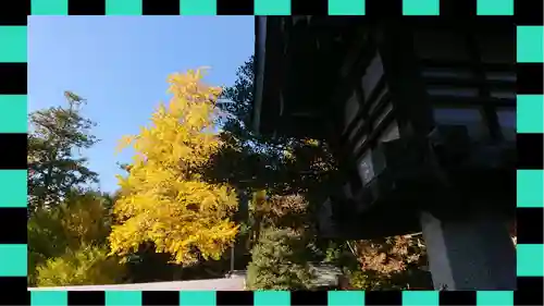 秩父神社(埼玉県)