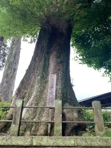香取神社(千葉県)