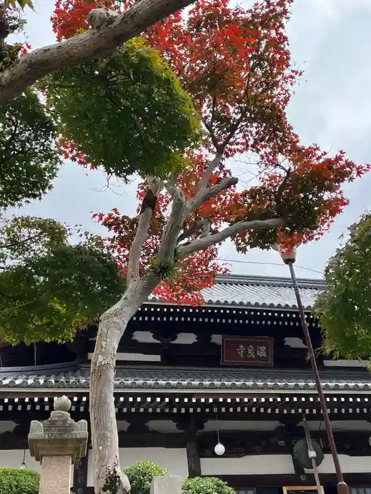 温泉寺(兵庫県)