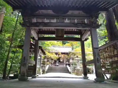 柴神社(福井県)