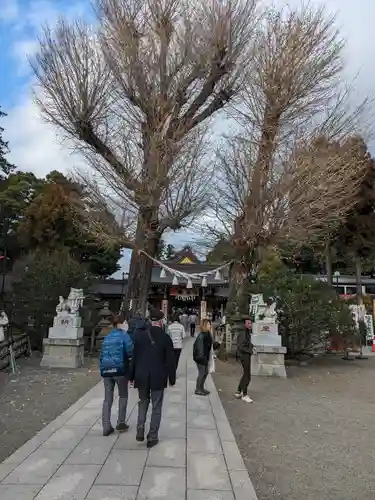 亀ケ池八幡宮(神奈川県)