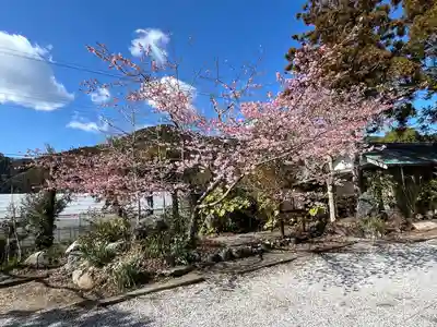 天津神明宮(千葉県)