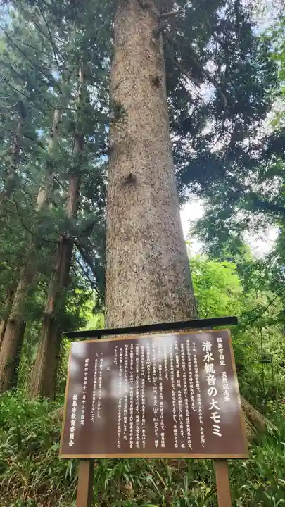 清水観音(福島県)