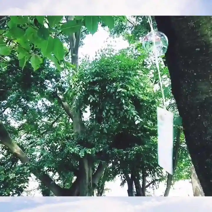 神明社(国府宮神明社)の自然