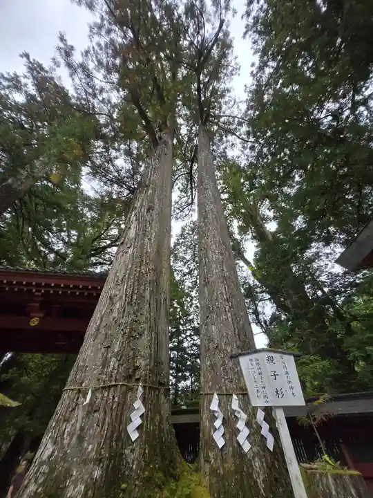 日光二荒山神社(栃木県)