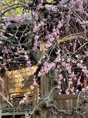 若狭野天満神社のその他建物