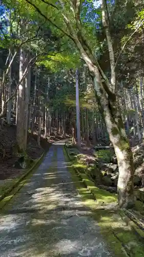 古知谷阿弥陀寺(京都府)