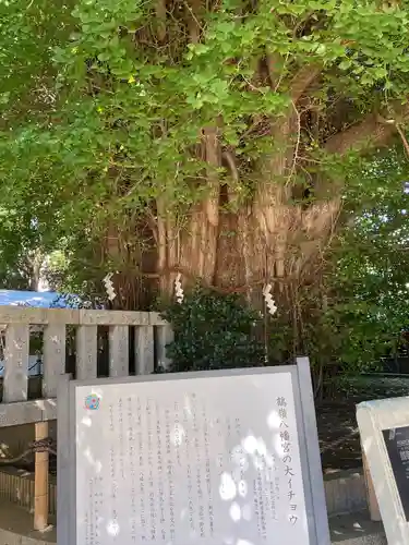 鶴嶺八幡宮(神奈川県)