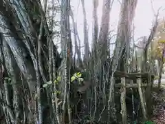 稲荷神社の建物その他