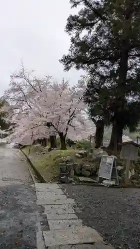 長尾天満宮(京都府)
