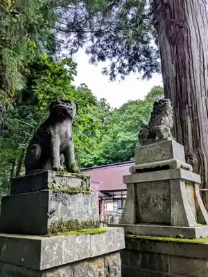 戸隠神社中社(長野県)
