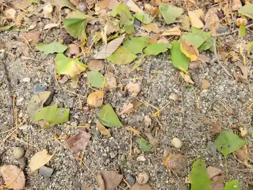 水天宮(愛媛県)