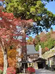 観音正寺の庭園