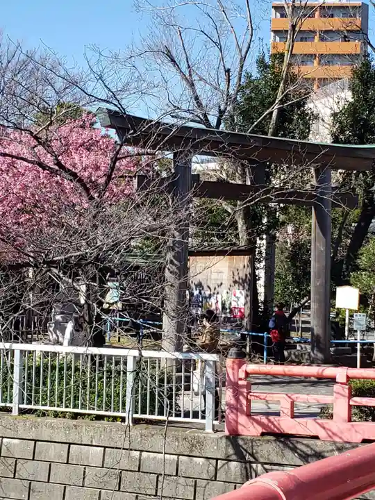 荏原神社の鳥居