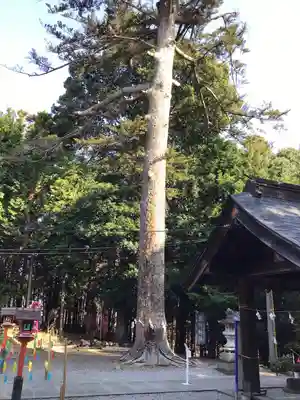 滑川神社 - 仕事と子どもの守り神(福島県)