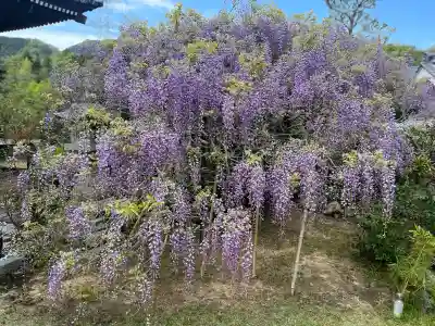 子安地蔵寺(和歌山県)