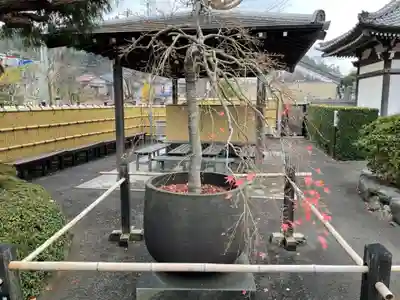 満昌寺のその他建物