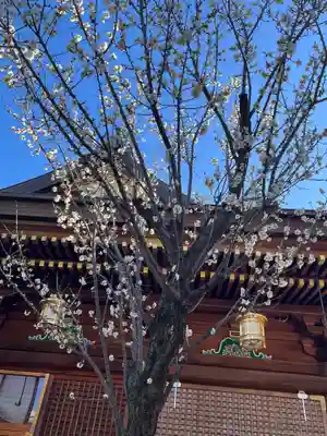 湯島天満宮(東京都)